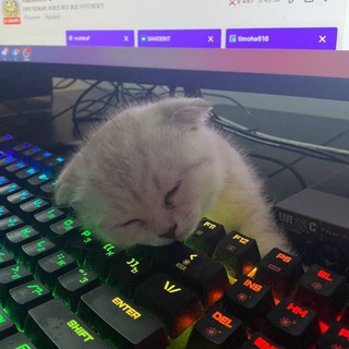 Telegram profile photo for залупа сквад💔