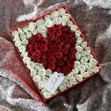 Telegram profile photo for 🎵نــۛৣـۛۛہبــۢ͜ـہٰض🎵