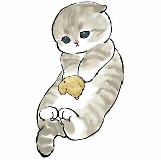 Telegram profile photo for Котики🖤