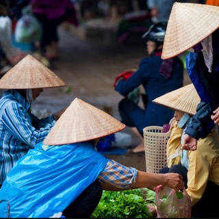 Telegram profile photo for Яркий Вьетнам 🇻🇳
