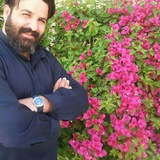 Telegram profile photo for مجید فرهمندی