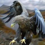 Telegram profile photo for 23