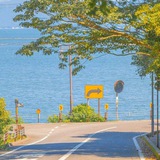 Telegram profile photo for Hangang Park