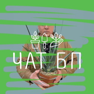 Telegram group profile photo for Ботанический Проект. Чат🌿