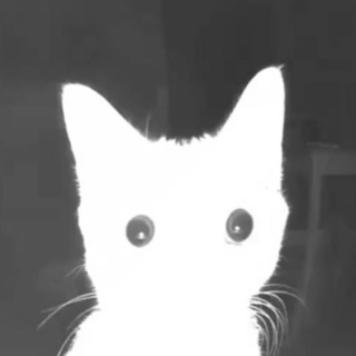 Telegram profile photo for Untitled Kwek's Channel