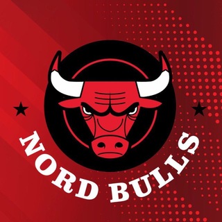 Telegram profile photo for NORD BULLS | Единоборства в Тюмени 🥊