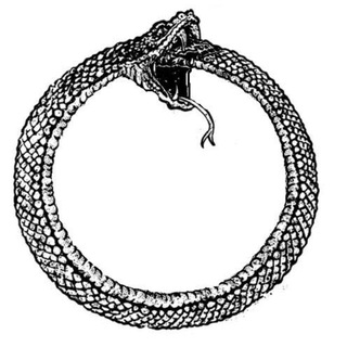Telegram profile photo for wizards hangout