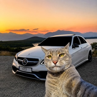 Telegram profile photo for Плахончик смотрит