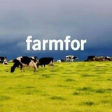 Telegram profile photo for Farmfor