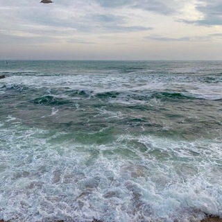 Telegram profile photo for للأجر 🕊