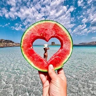 Telegram profile photo for Отдыхариум
