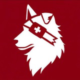 Telegram profile photo for 𝓗𝓲𝓶𝓮𝓲 𝓢𝓸𝓻𝓪𝓵
