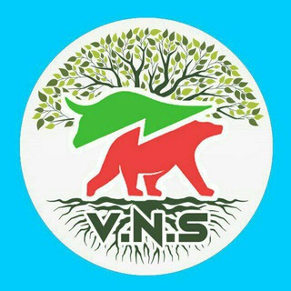 Telegram profile photo for آموزش فارکس V.N.S
