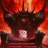 Telegram profile photo for доргант союзы