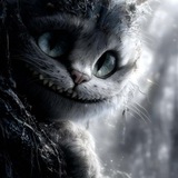 Telegram profile photo for Кот Балинта