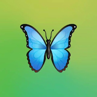 Telegram profile photo for Desi Design Library