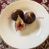 Telegram profile photo for أعتز (بحبي)