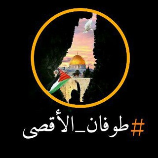 Telegram profile photo for قناة TEAM_XYZ💢👌