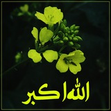 Telegram profile photo for الله أڪبر