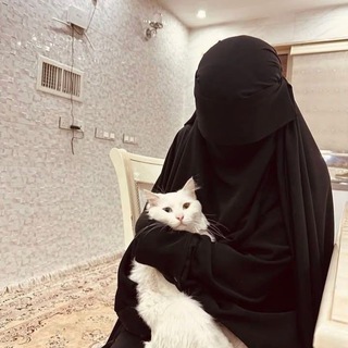 Telegram profile photo for ملاذ التائهين 🤍🌿