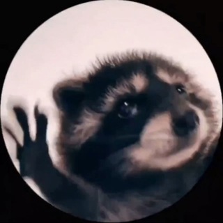 Telegram profile photo for جا شبيك
