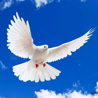 Telegram profile photo for 📖 Jesus é o caminho a verdade e a vida ninguém vai ao pai se não for por mim.📚