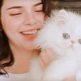 Telegram profile photo for Stiker Kendal Jenner