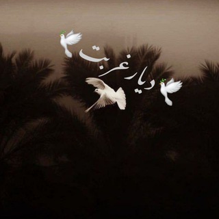 Telegram profile photo for 🕊دیارغربت🕊