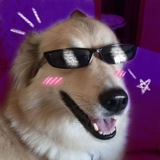 Telegram profile photo for ✧zosyayolka подвальчик✧