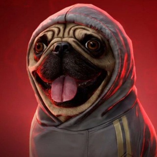 Telegram profile photo for khatib | Разработчик