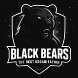 Telegram profile photo for BLACK BEARS