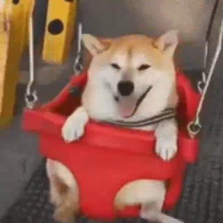 Telegram profile photo for 表情包 贴纸包大全