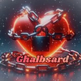 Telegram profile photo for 𝙜𝙝𝙖𝙡𝙗 𝙨𝙖𝙧𝙙