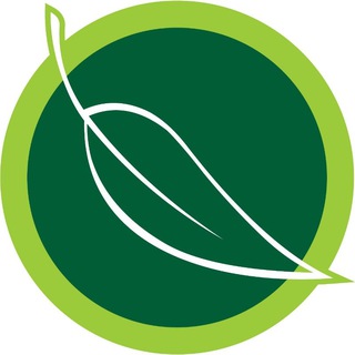 Telegram profile photo for Здоровье на дом