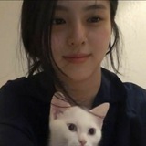 Telegram profile photo for who