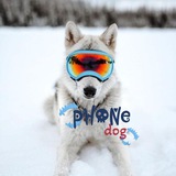 Telegram profile photo for 🐶Phone dog🐶