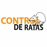 Telegram profile photo for Pruebas Control De Ratas