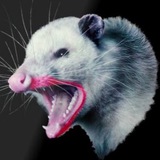 Telegram profile photo for Я в Ахуе, Братан