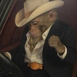 Telegram profile photo for http - protocol