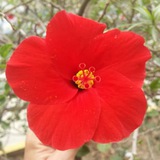 Telegram profile photo for مداد القلب