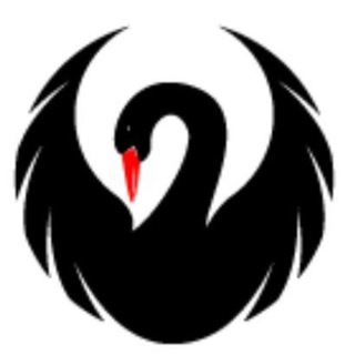 Telegram profile photo for Black Swan Dawn на русском