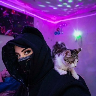Telegram profile photo for 🩷🌘About the cat🌒🩷