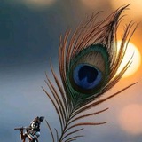Telegram profile photo for Spiritual Livingroom