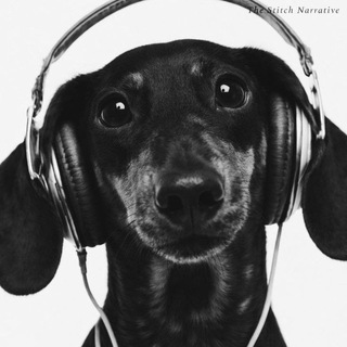 Telegram profile photo for `такса но монмон′🐾