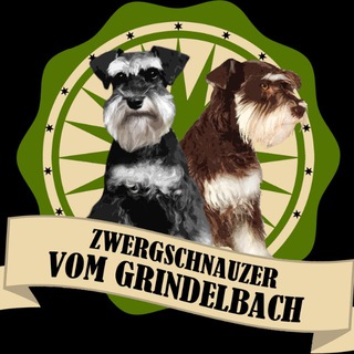 Telegram profile photo for Zwergschnauzer vom Grindelbach