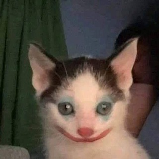 Telegram profile photo for nevvy why u alive?