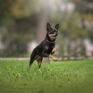 Telegram profile photo for Кадры с Элли