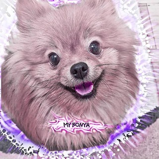 Telegram profile photo for ๐ฉ๐ด๐ ๐ฉ๐ถ๐ต๐๐จ๐