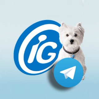 Telegram profile photo for Portal iG