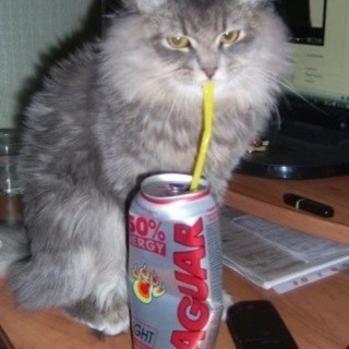 Telegram profile photo for Опездл